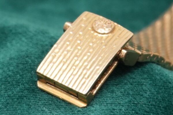 パテック・フィリップ GOLDEN CHAMPAGNE DIAL 3748/1（46／1978年)の詳細写真9枚目